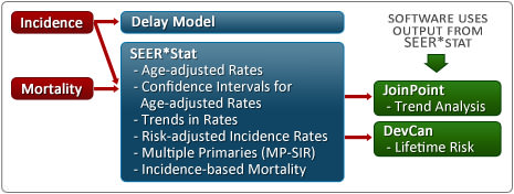 Diagram of Cancer Incidence & Mortality Methods and Software