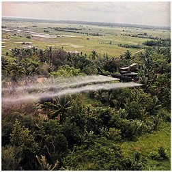Helicopter spraying jungle foliage with herbicides