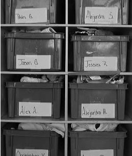  shelves of folders