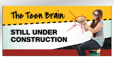 Teen Brain - Still Under Construction