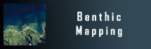 Benthic Mapping