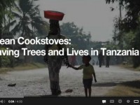 Clean Cookstoves: Saving Trees and Lives in Tanzania