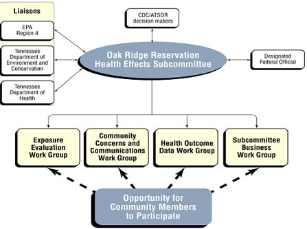 Illustration of ORRHES Organizational Structure