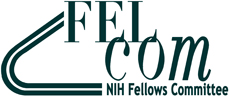 FelCom Logo