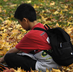 Boy sitting in leaves