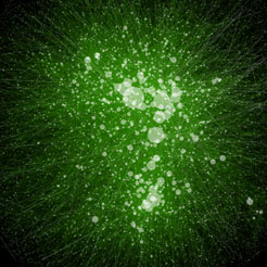 Prettier than a hairball, but just as intricate. This diagram of the human interactome shows physical (green edges) and genetic (white dots) interactions. Credit: Keiichiro Ono