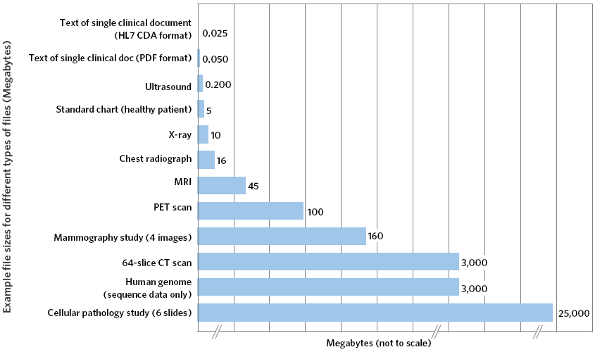 Exhibit 10-B:  Health Data File Sizes