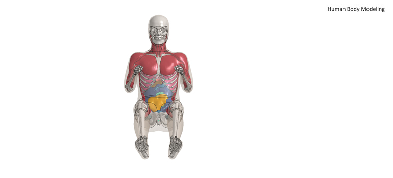 Human Body Modeling