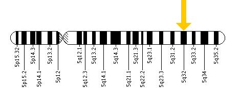 The CSF1R gene is located on the long (q) arm of chromosome 5 at position 32.