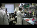 Camera on Cancer Research: Hsp90 Inhibitors, Powerful Drugs in the Fight Against Cancer 