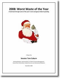 2008: The Worst Waste of the Year Report