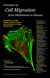 Frontiers in Cell Migration: From Mechanism to Disease poster