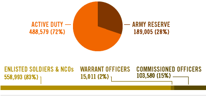 Pie Graph of the composition of the U.S. Army