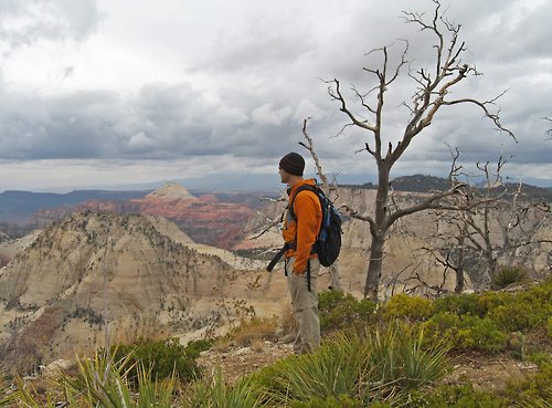 With fall right around the corner, it will soon be great weather for hiking and backpacking in places like Zion National Park (pictured above) all across the country. To find great places near you, visit the new www.recreation.gov for all types of outdoor activities on our public lands.Photo: National Park Service 