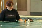 Loudoun County cat swims laps to lose weight