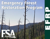 The Emergency Forest Restoration Program provides payments to eligible owners to restore land damaged by a natural disaster.