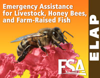 The ELAP Program provides emergency relief to producers of livestock, honey bees, and farm-raised fish.