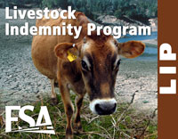 The Livestock Indemnity Program provides assistance to producers for livestock deaths that result from disaster.
