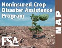 The Noninsured Crop Disaster Assistance Program provides financial assistance to producers of noninsurable crops when low yields, loss of inventory or prevented planting occurs due to natural disasters.