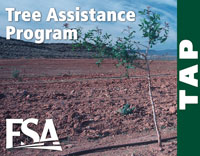 The Tree Assistance Program provides financial assistance to qualifying orchardists to replace trees, bushes, and vines damaged by natural disasters.