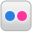 Flickr Icon