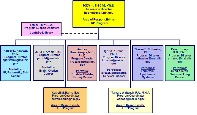 Interactive Organizational Chart showing structure of Translational Research Program