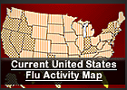 A U.S. map includes the text 'Current United States Flu Activity Map'