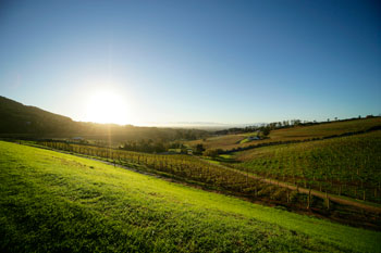 Photograph of a rural landscape.