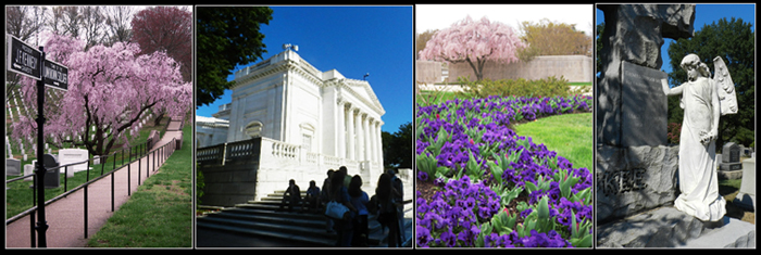 Photos of Arlington National Cemetery