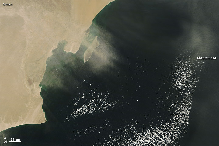 Dust over the Arabian Sea