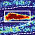 Microscope image showing bright fluorescent signal in a nerve fiber.