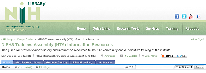 Screenshot of online library guide