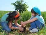 Two little girls plant a tree