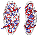 NMR structure of a retroviral RNA packaging element fitted to averaged cryo-electron density. Credit: CRNA