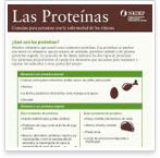 Las Proteínas: Consejos para personas con la enfermedad de los riñones (Hoja de datos)