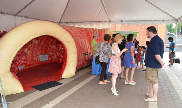 Giant Colon Exhibit