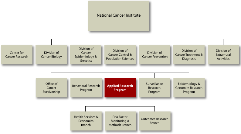 NCI Organization Chart