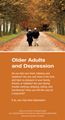 Cover image for older adults and depression publication