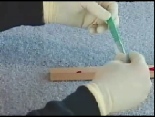 Still image linking toVideo Demonstrating Collecting a Dry Stain on an Absorbent Surface