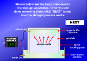 Still image linking to Animation Explaining Slab-Gel Electrophoresis