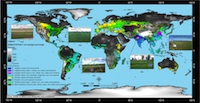 Map showing global cropland distribution.
