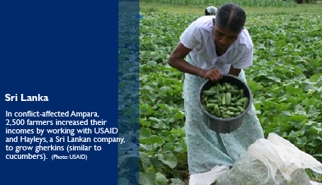 Sri Lanka. In conflict-affected Ampara, 2,500 farmers increased their incomes by working with USAID and Hayles, a Sri Lankan Company, to grow gherkins (Similiar to cucumbers) (Photo:USAID)