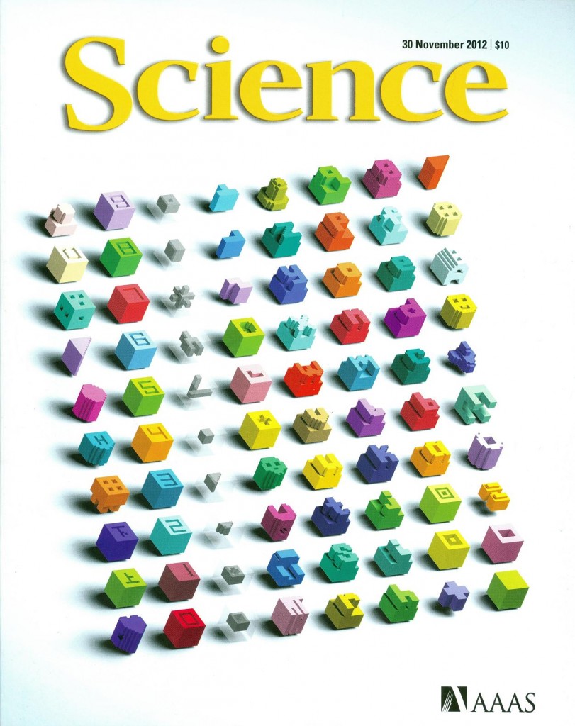 Cover of Science magazine, displaying a set of colorful building blocks.