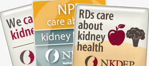 An assortment of NKDEP e-badges