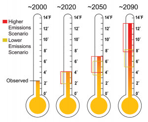 Observed and Projected Temperature Rise