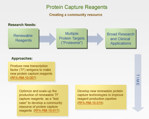 Protein Capture Reagents