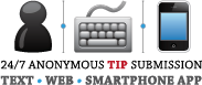 Online reporting logo