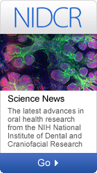 NIDCR: Science News-The latest advances in oral health  research from the NIH National Institute of Dental and Craniofacial Research