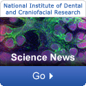 National Institute of Dental and Craniofacial Research: Science News