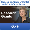 National Institute of Dental and Craniofacial Research: Research Grants